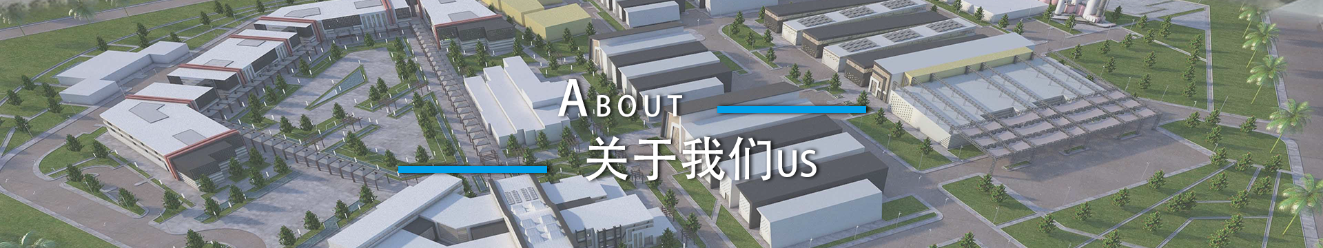 Company Profile